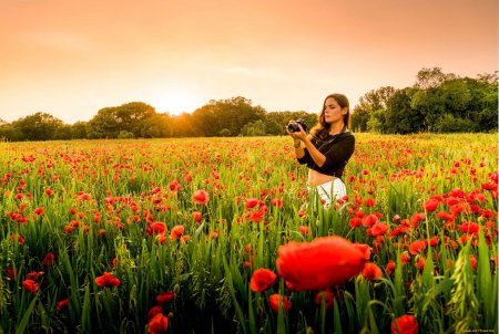 Девушки в маковом поле