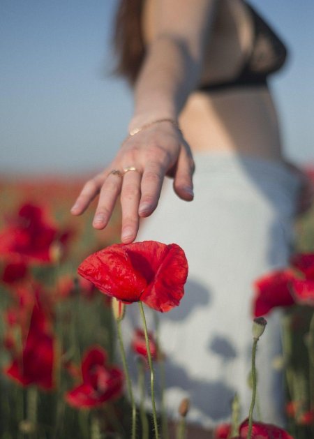 Фотосессия в маковом поле