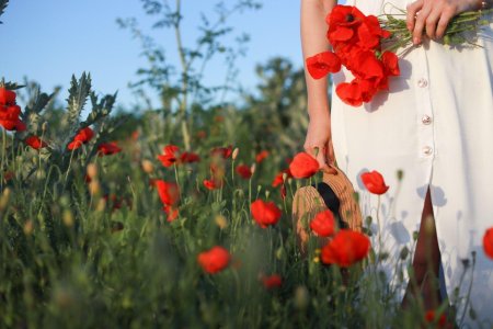 Маковое поле фотосессия