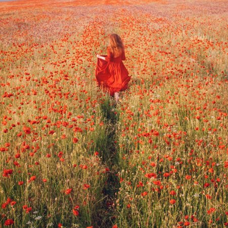Девушка в маковом поле