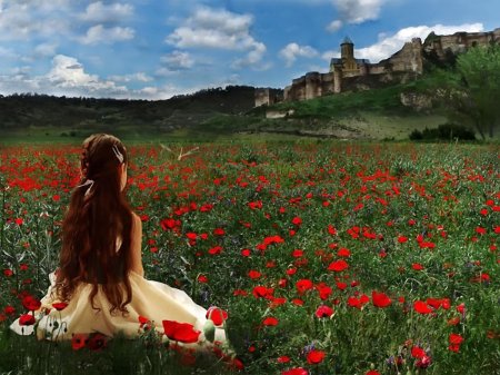 Фотосессия в маковом поле