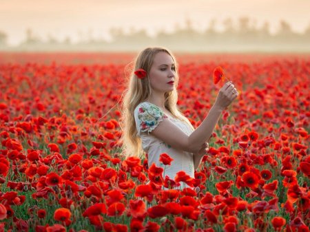 Маковое поле фотосессия