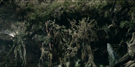 Лес фангорн властелин колец