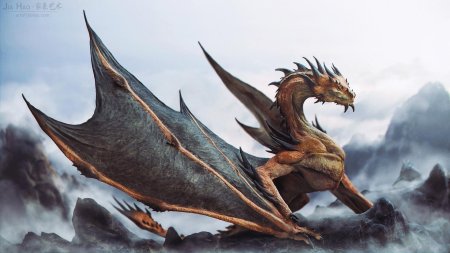 Драконы jia hao