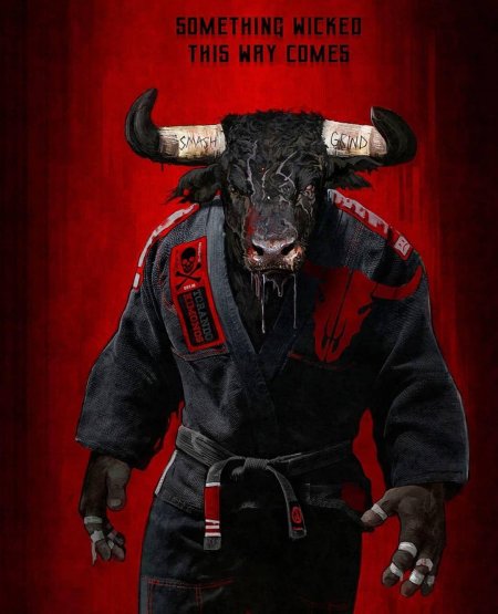 Джиу джитсу