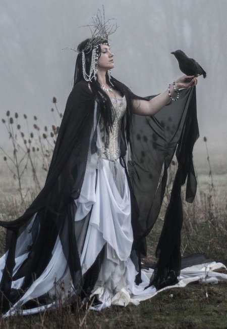 Фотосессия с вороном