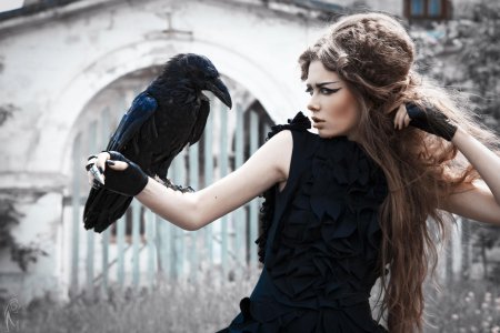 Фотосессия с вороном