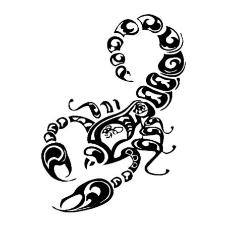 Эскизы скорпионов для девушек