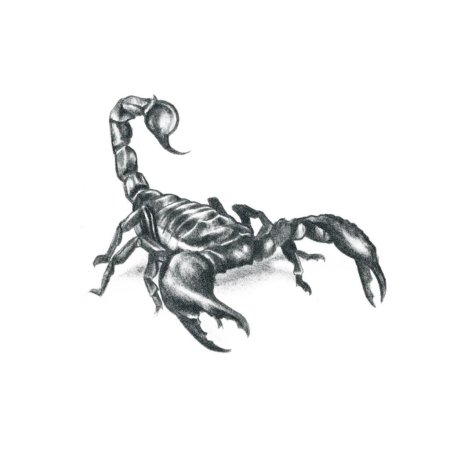 Эскиз тату скорпион