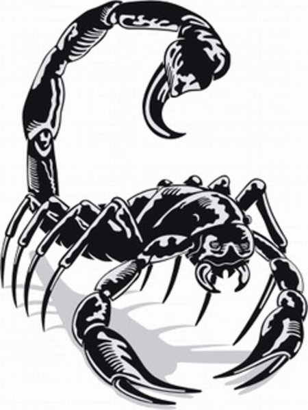 Скорпион тату эскиз