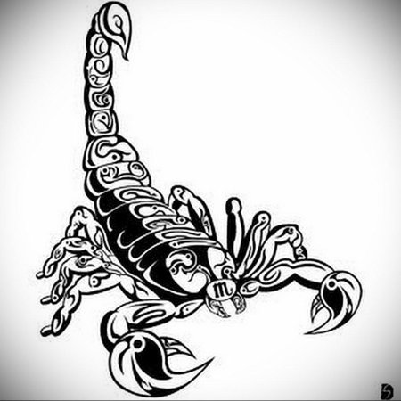 Эскиз скорпиона