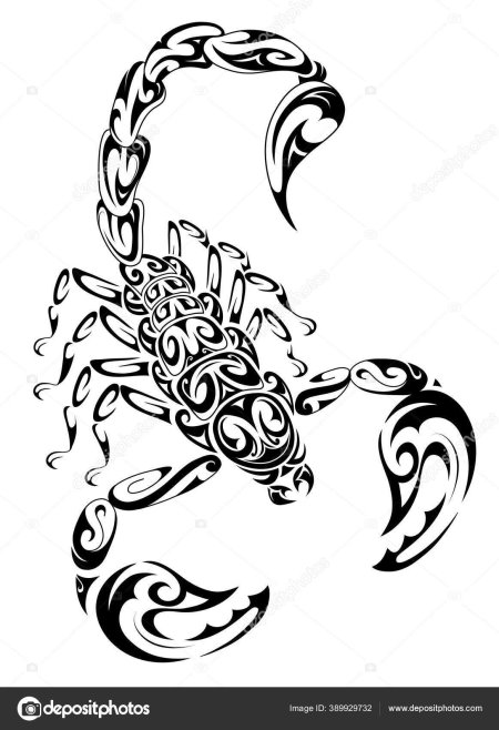 Рисунки скорпион