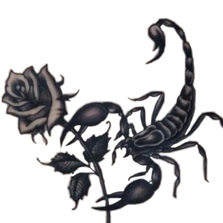 Скорпион тату эскиз