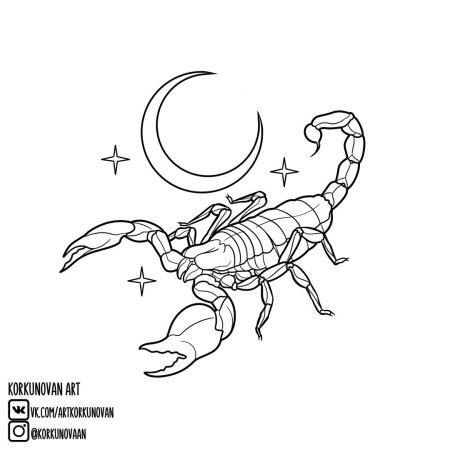 Эскиз скорпион