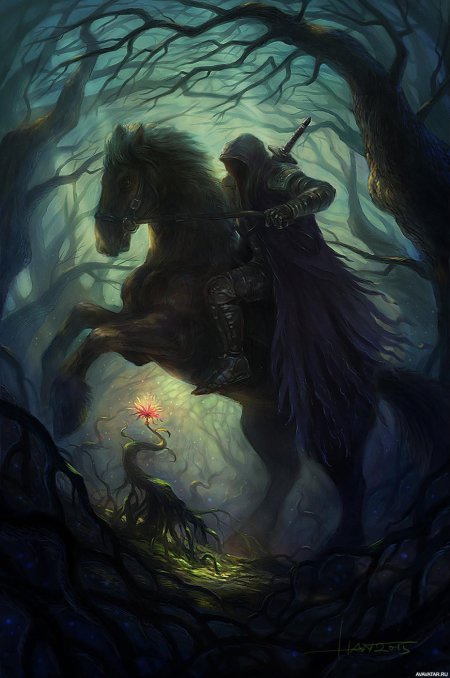 Всадники дунэдайн