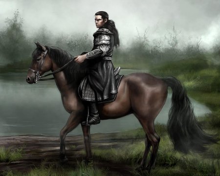 Всадник фэнтези