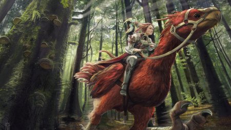 Иллирийские всадники эльфов