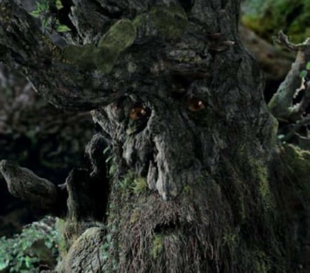 Лес энтов властелин колец