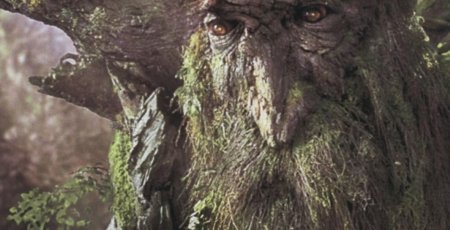 Властелин колец энты