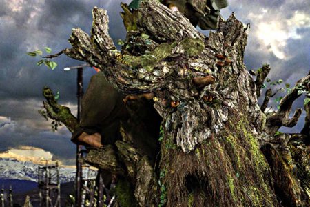 Фангорн древень