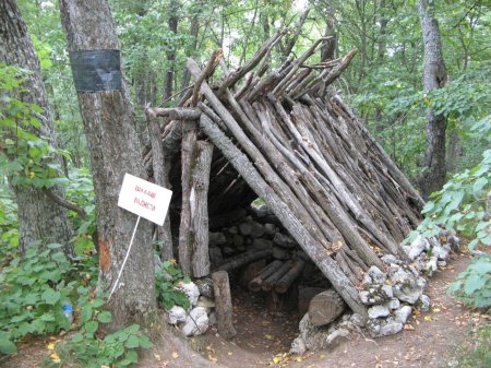 Бушкрафт шалаш