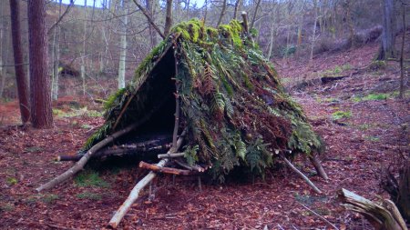 Шалаш убежище в лесу