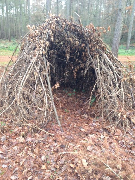 Шалаш из веток