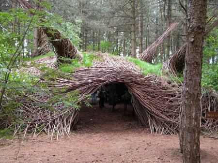 Дерево патрик догерти