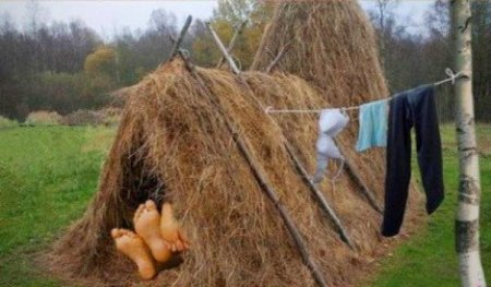 Шалаш ленина сестрорецк