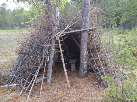 Шалаш из веток