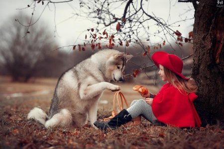 Фотосессия с животными