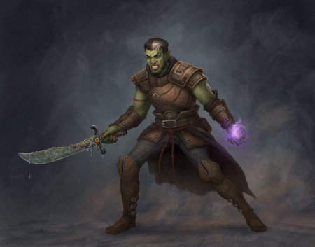 Полуорк монах днд