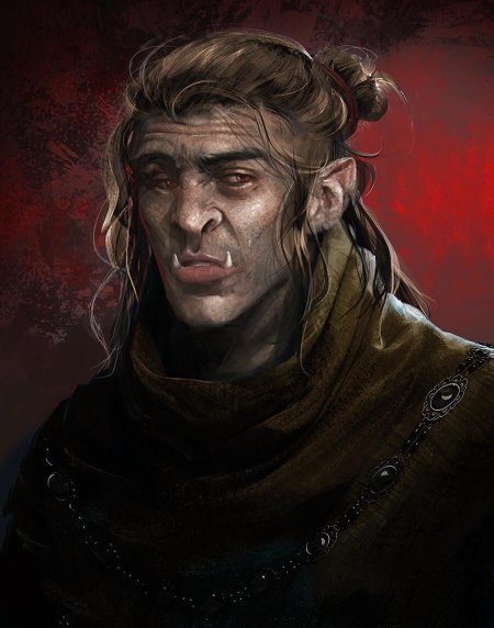 Полуорк полуэльф