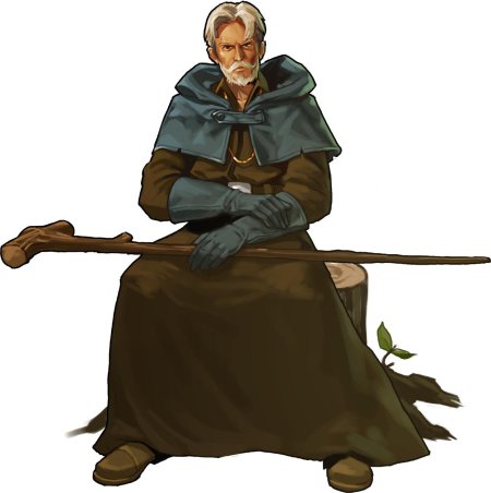 Полуэльф колдун днд