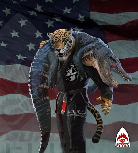 Джиу-джитсу ground shark