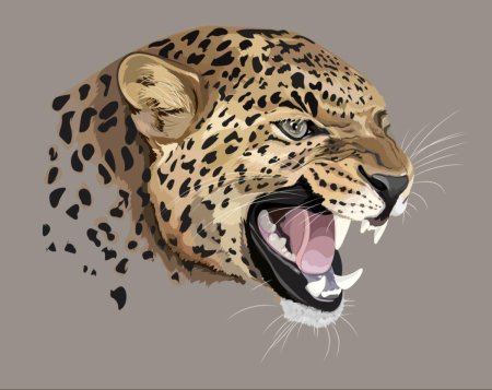 Леопард рисунки