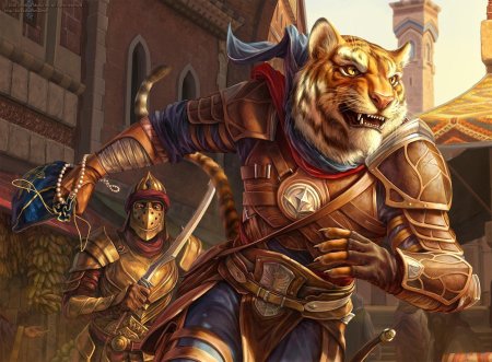 Каджит рейнджер