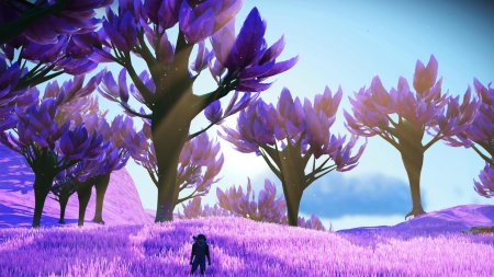 No man's sky