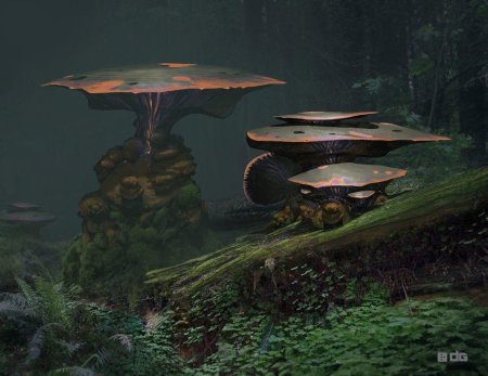 Фантастические миры