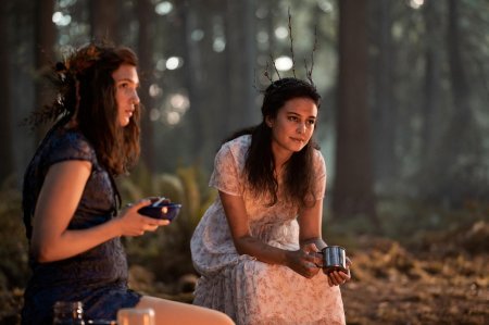 Лотти шершни сериал