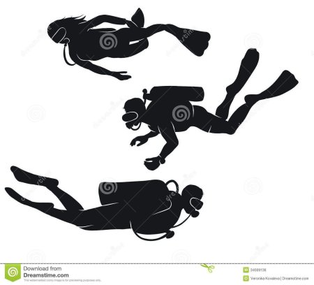 Аквалангист силуэт