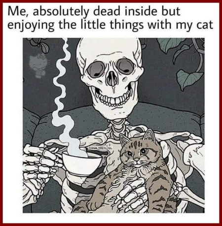 Скелет с котом