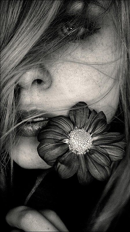 Черно белые цветы