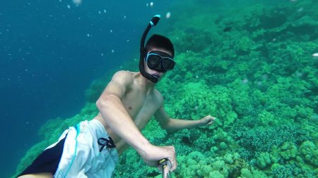 Снорклинг рача