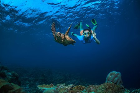 Саона снорклинг