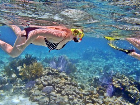 Снорклинг шарм эль шейх