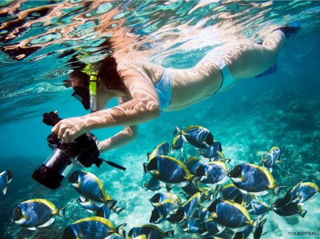 Снорклинг шарм эль шейх