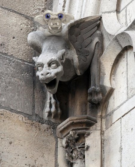 Собор парижской богоматери горгульи