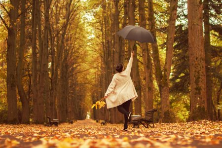 Осенние прогулки