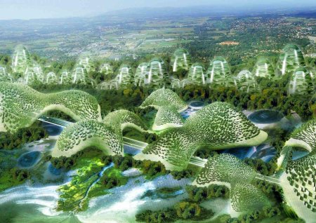 Винсент каллебо архитектура